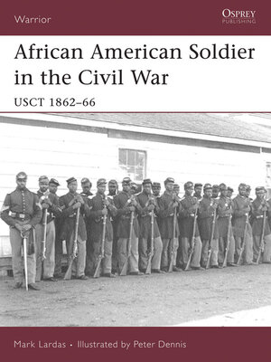 cover image of African American Soldier in the Civil War